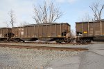 NS 10202